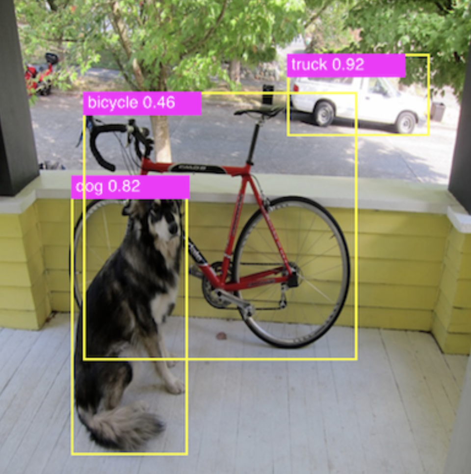 PyTorch YOLOv5 on iOS, example with a dog